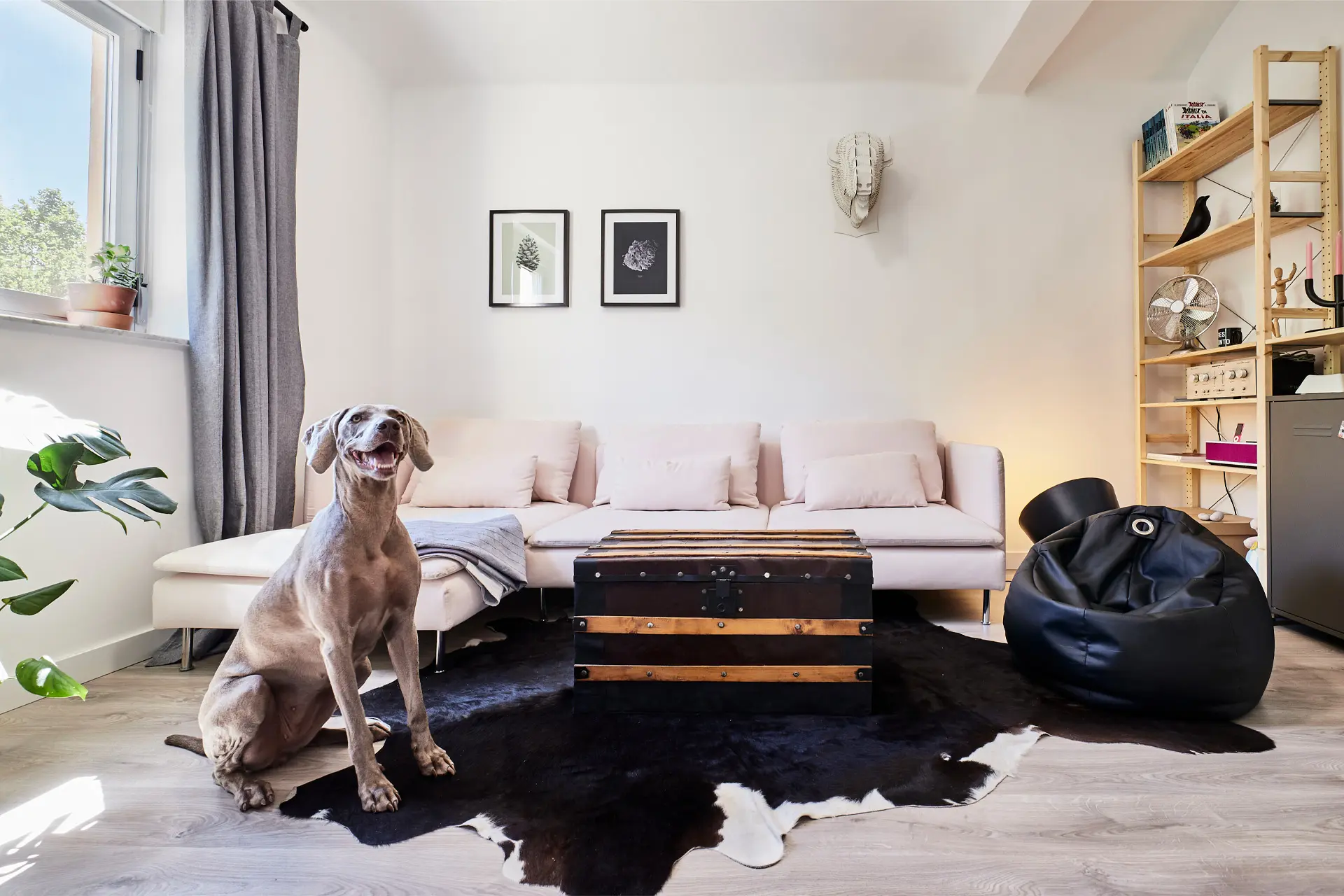 Diseño salón vivienda