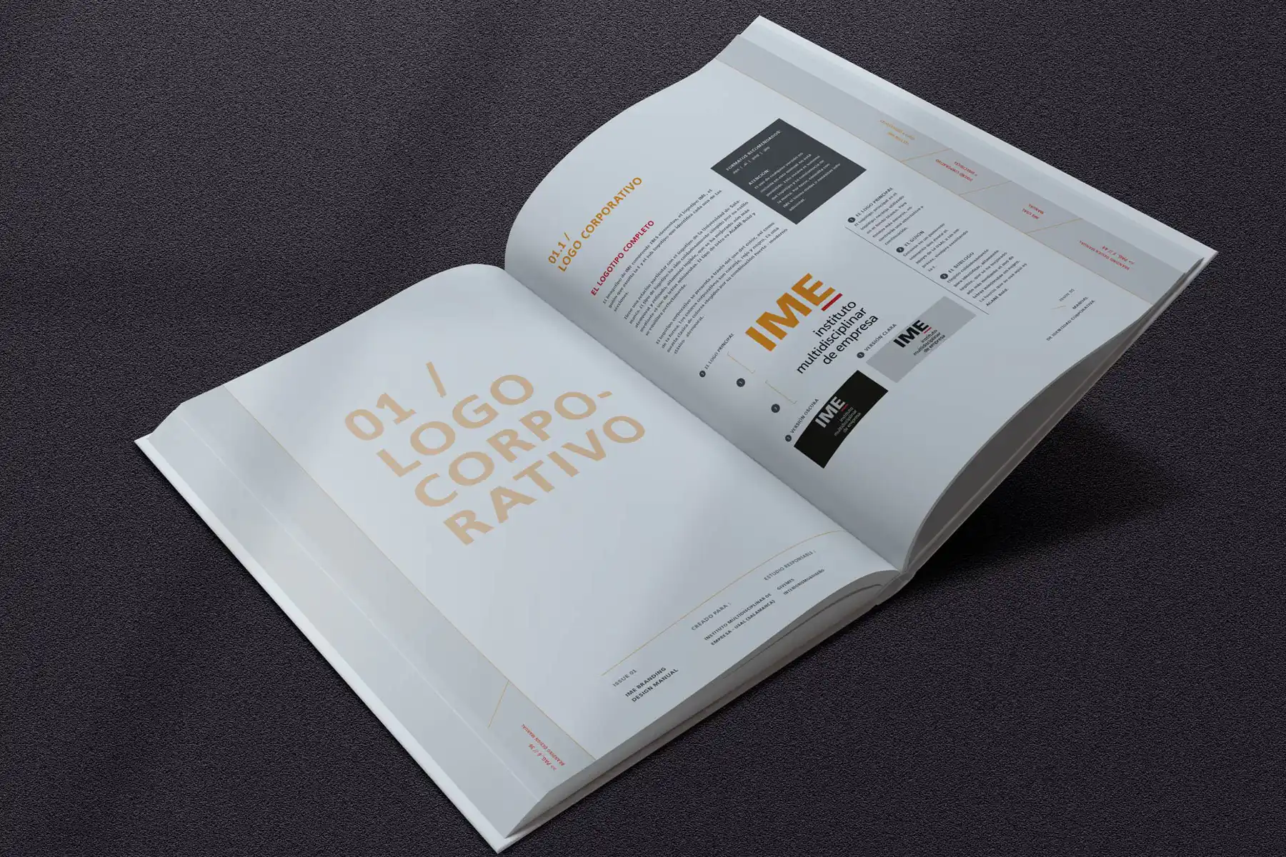 Identidad corporativa: IME
Autor: FRAN BORDELL